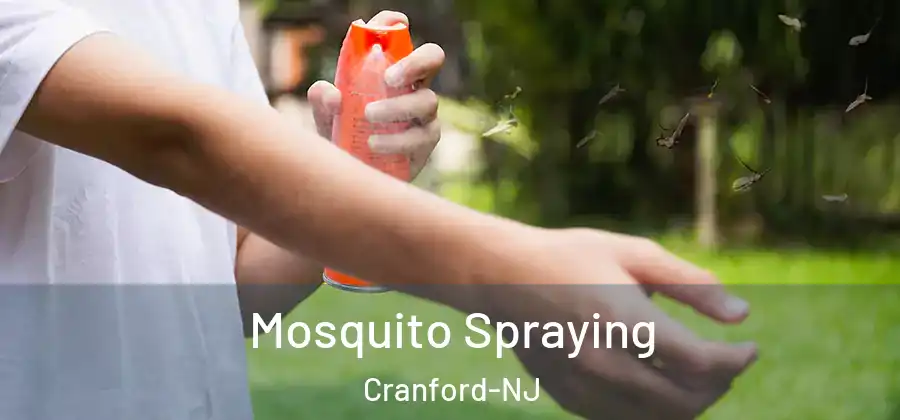 Mosquito Spraying Cranford-NJ