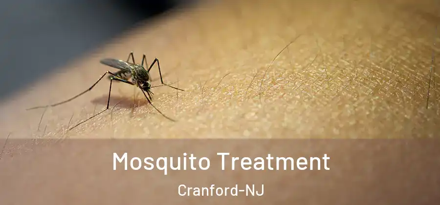 Mosquito Treatment Cranford-NJ