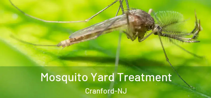 Mosquito Yard Treatment Cranford-NJ