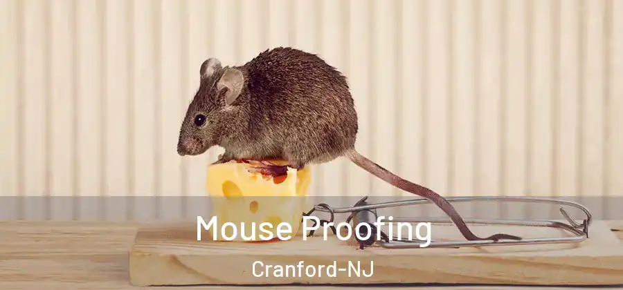 Mouse Proofing Cranford-NJ