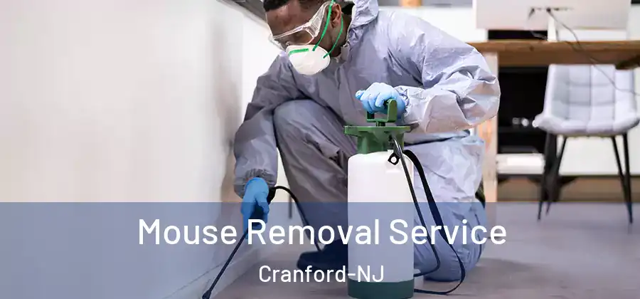 Mouse Removal Service Cranford-NJ