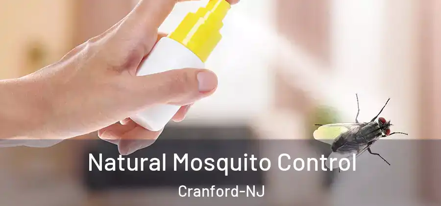 Natural Mosquito Control Cranford-NJ