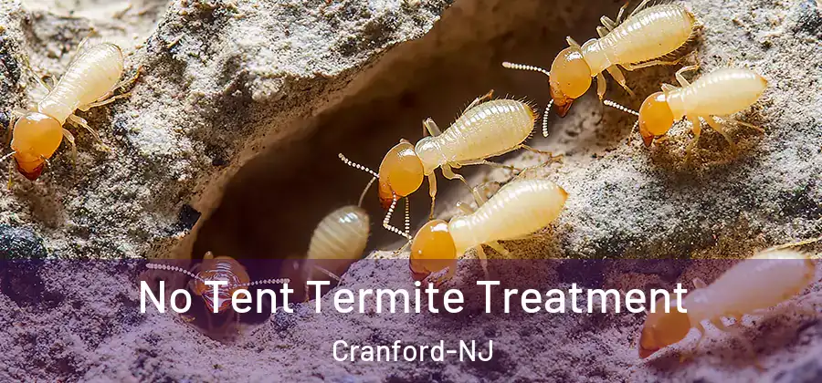 No Tent Termite Treatment Cranford-NJ