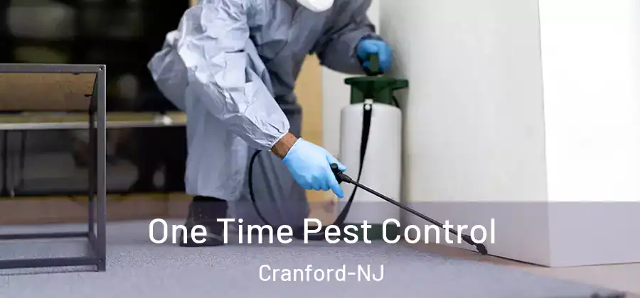 One Time Pest Control Cranford-NJ