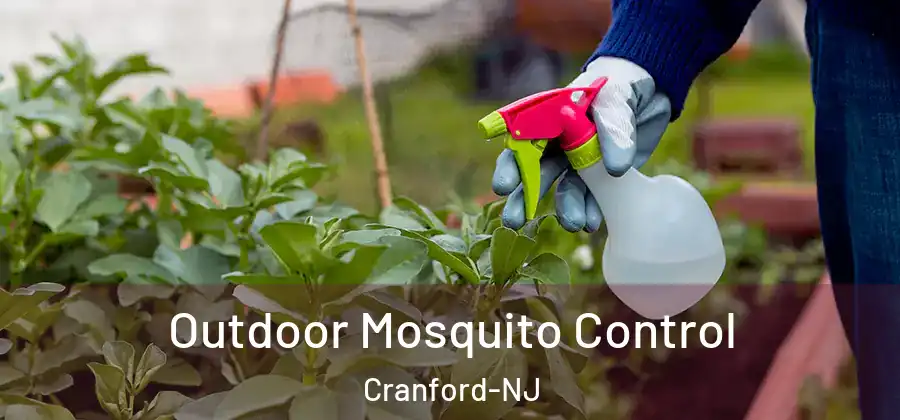 Outdoor Mosquito Control Cranford-NJ