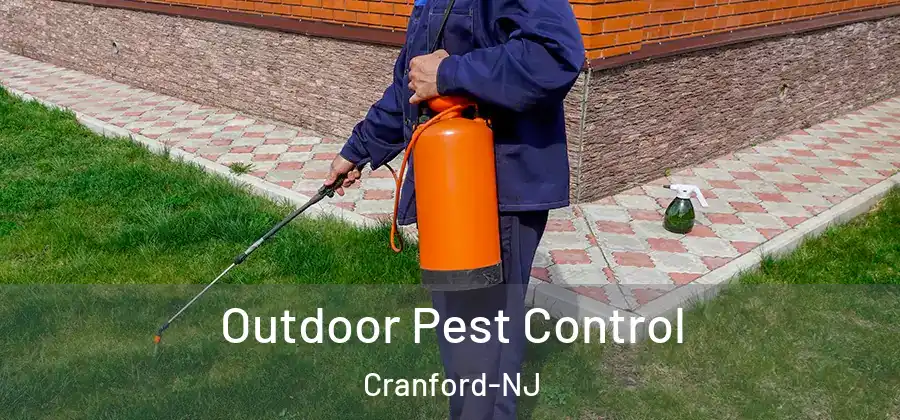 Outdoor Pest Control Cranford-NJ