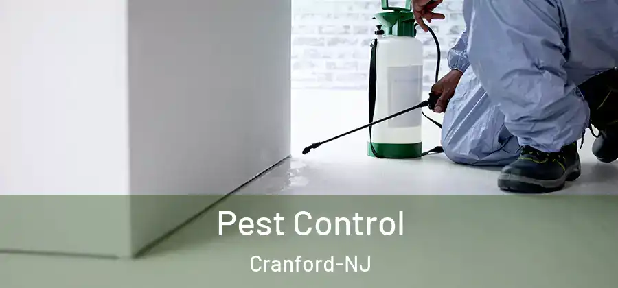 Pest Control Cranford-NJ