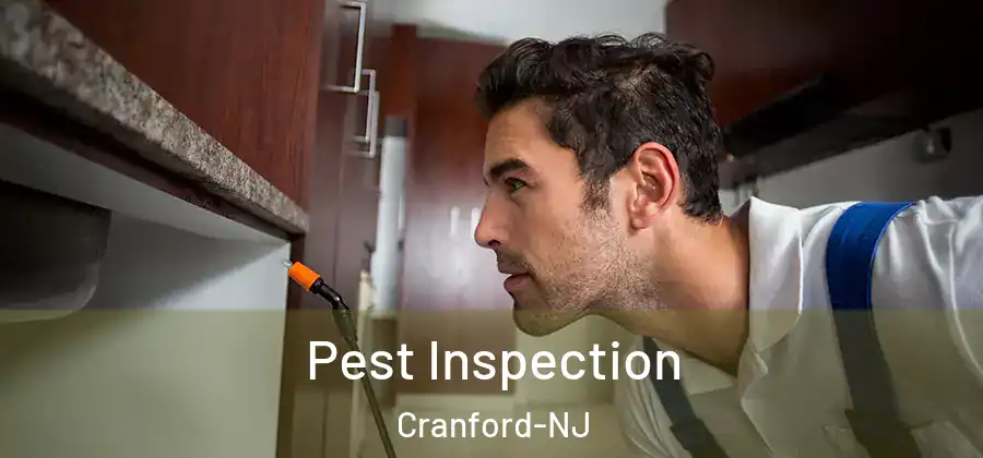 Pest Inspection Cranford-NJ