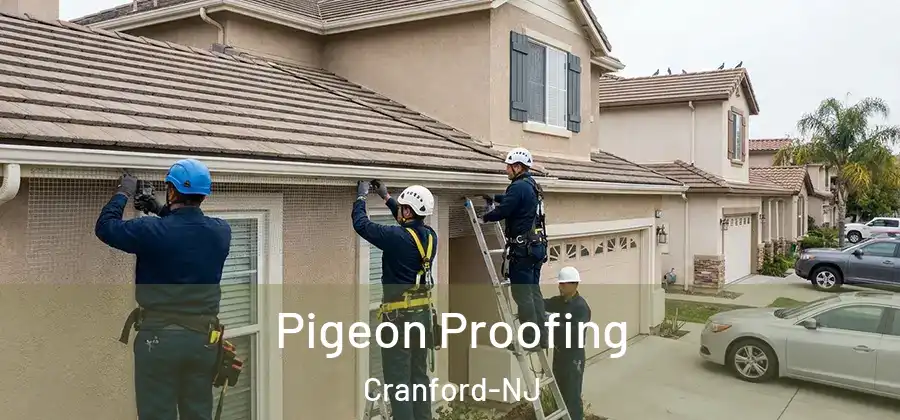  Pigeon Proofing Cranford-NJ