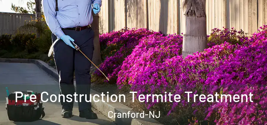  Pre Construction Termite Treatment Cranford-NJ