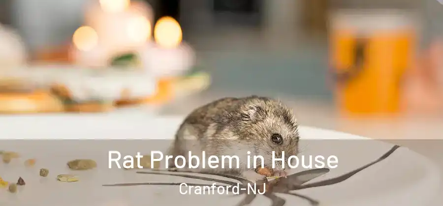 Rat Problem in House Cranford-NJ