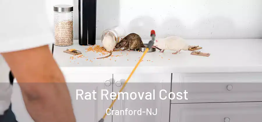  Rat Removal Cost Cranford-NJ