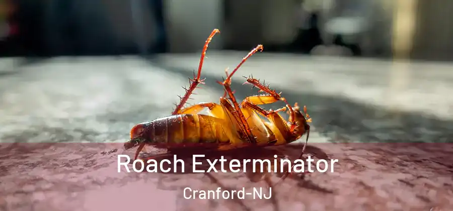 Roach Exterminator Cranford-NJ