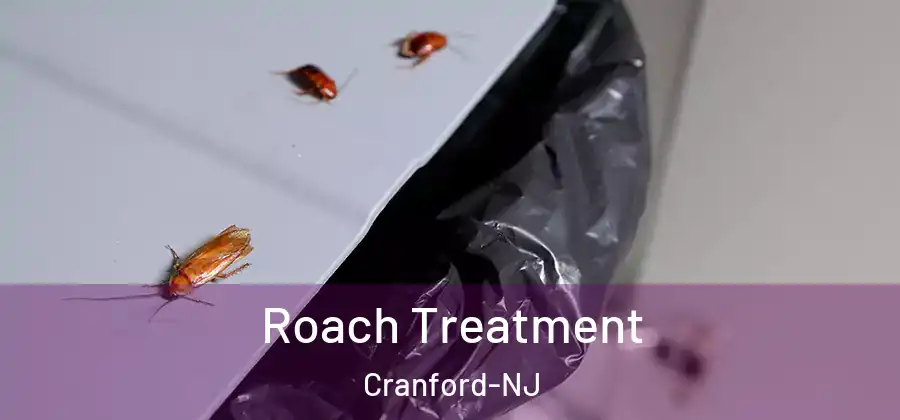 Roach Treatment Cranford-NJ