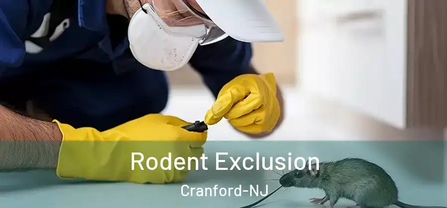 Rodent Exclusion Cranford-NJ