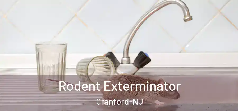  Rodent Exterminator Cranford-NJ