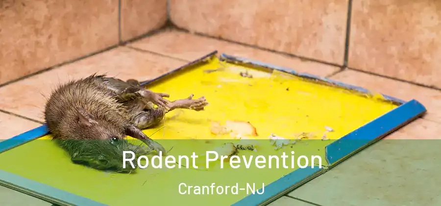  Rodent Prevention Cranford-NJ