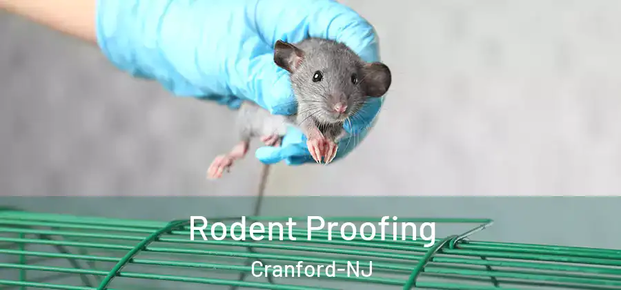  Rodent Proofing Cranford-NJ