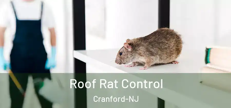 Roof Rat Control Cranford-NJ