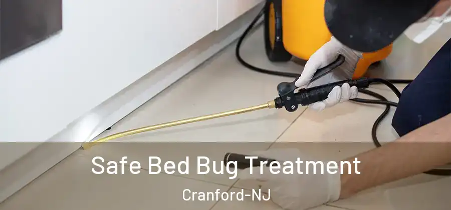 Safe Bed Bug Treatment Cranford-NJ