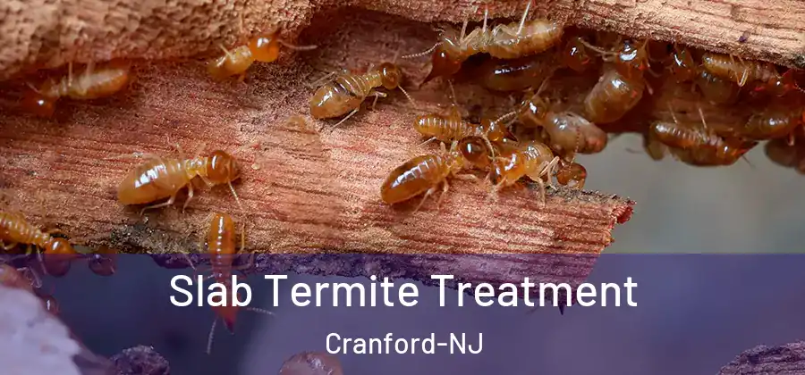 Slab Termite Treatment Cranford-NJ