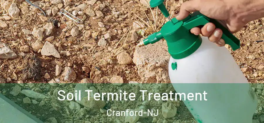 Soil Termite Treatment Cranford-NJ