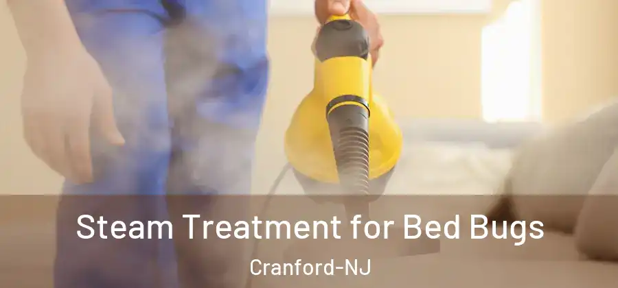 Steam Treatment for Bed Bugs Cranford-NJ