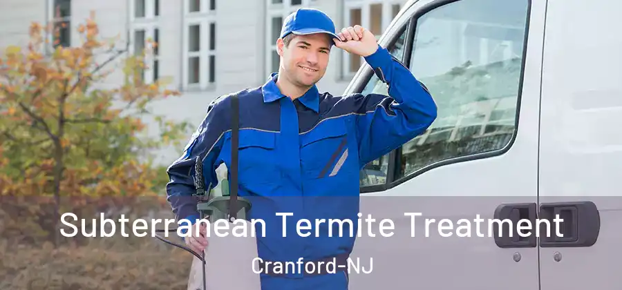 Subterranean Termite Treatment Cranford-NJ