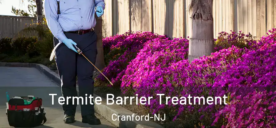 Termite Barrier Treatment Cranford-NJ