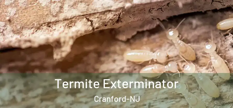 Termite Exterminator Cranford-NJ