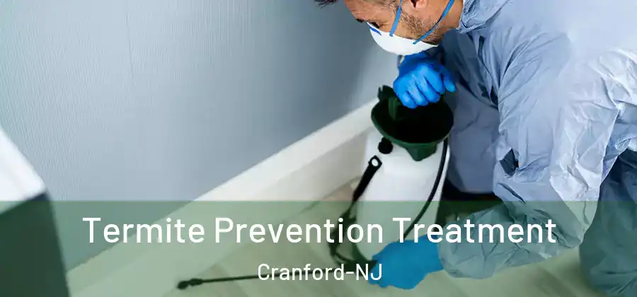  Termite Prevention Treatment Cranford-NJ