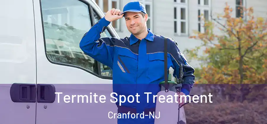  Termite Spot Treatment Cranford-NJ