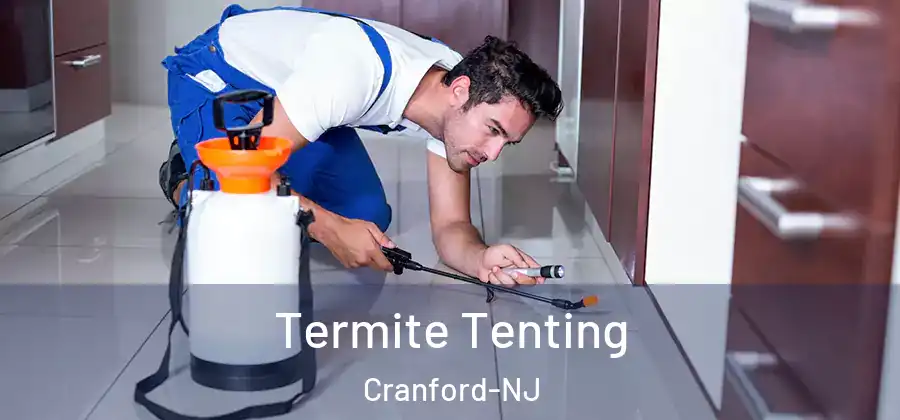  Termite Tenting Cranford-NJ