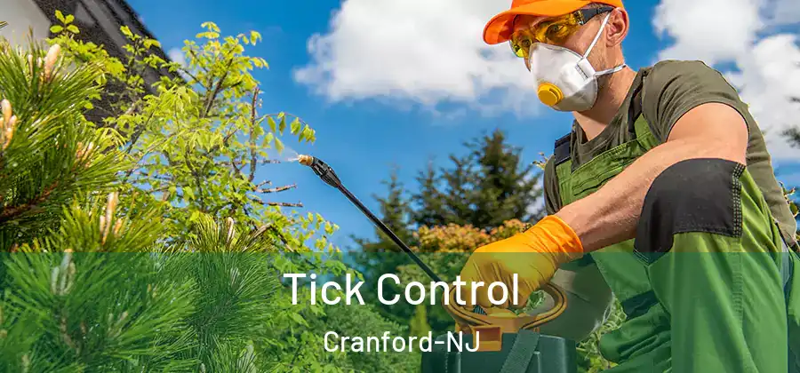 Tick Control Cranford-NJ