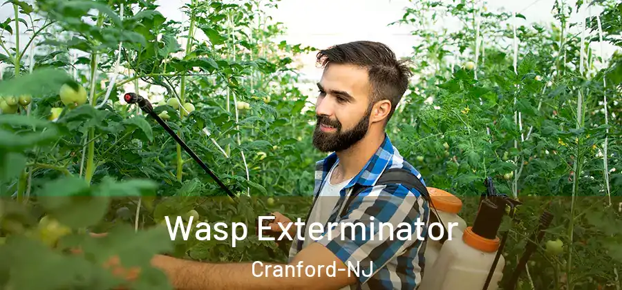  Wasp Exterminator Cranford-NJ
