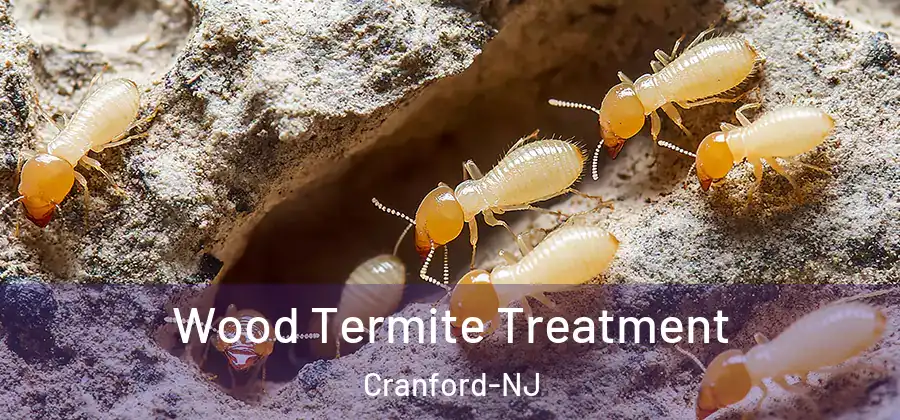 Wood Termite Treatment Cranford-NJ