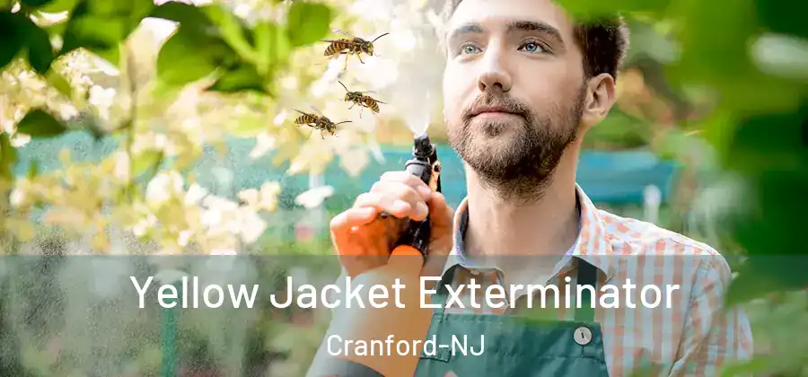 Yellow Jacket Exterminator Cranford-NJ