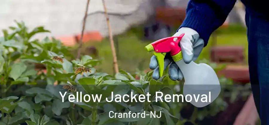 Yellow Jacket Removal Cranford-NJ